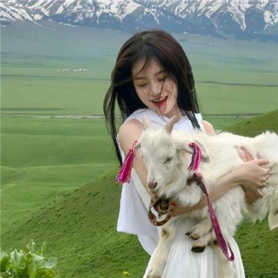 境界战机第二季